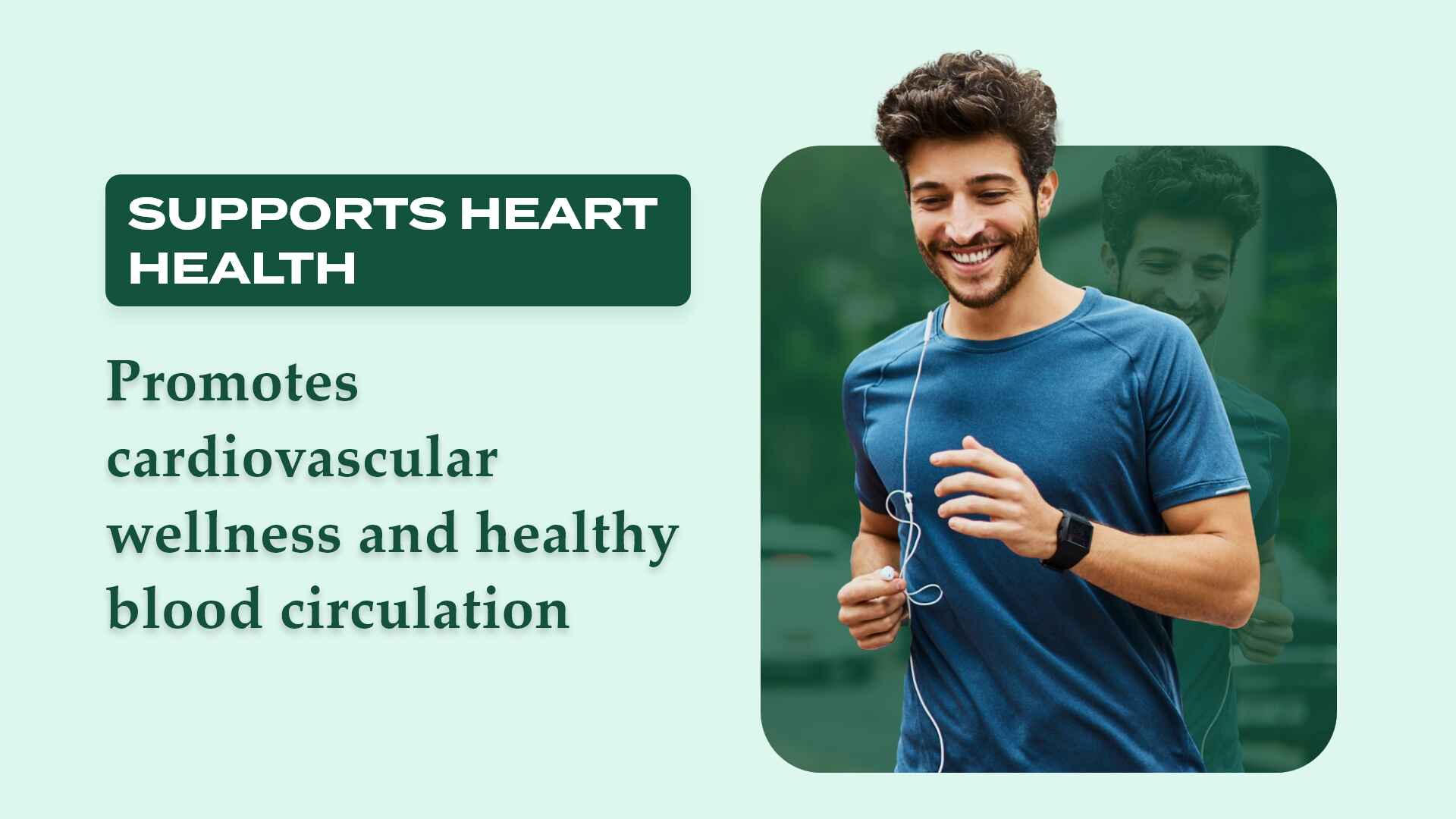 Supports Heart Health – 1